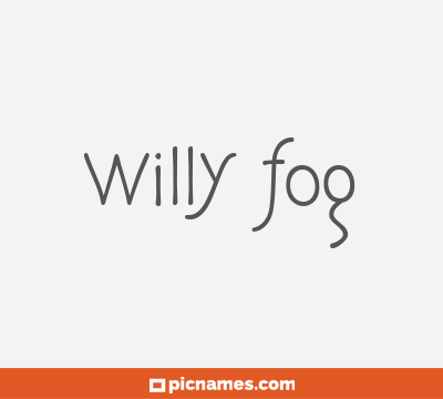 Willy Fog